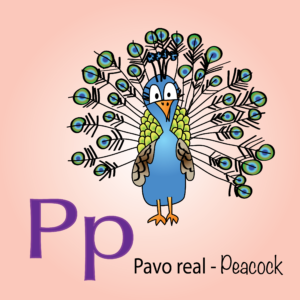P de Pavo Real - P is for Peacock